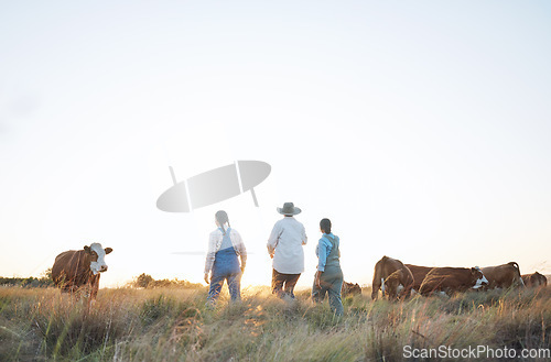 Image of Farm, countryside and women in field with cow for inspection, livestock health and animal care. Agro business, agriculture and people with cattle for dairy, beef production and sustainable farming