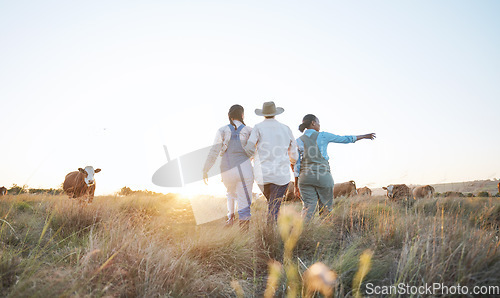 Image of Farm, agriculture and women in field with cow pointing for inspection, livestock health or ecology. Agro business, countryside and people with cattle for dairy, beef production or sustainable farming