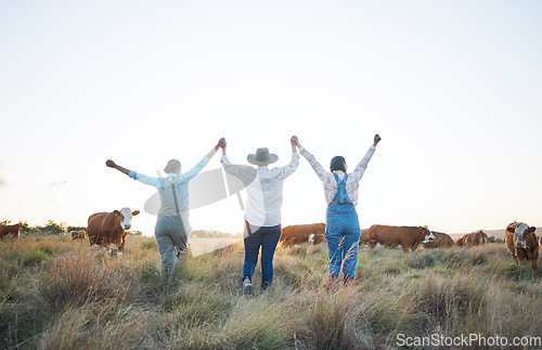 Image of Farm, celebration and women back holding hands for success, happy or excited for cattle industry, growth or development Farmer, friends and rear view of farming team celebrate agriculture achievement