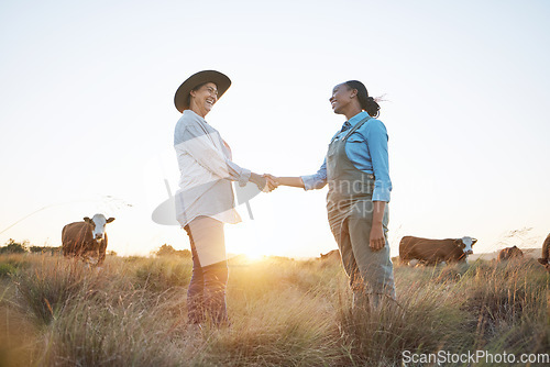 Image of Farm, handshake and women with b2b sale, deal or agreement for small business partnership. Agro, thank you and farmer people shaking hands for farming, collaboration and cattle supply chain support