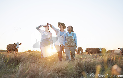 Image of Farm, agriculture and women with cow pointing for inspection, livestock and animal health. Agro business, countryside and people planning with cattle for dairy, beef production or sustainable farming