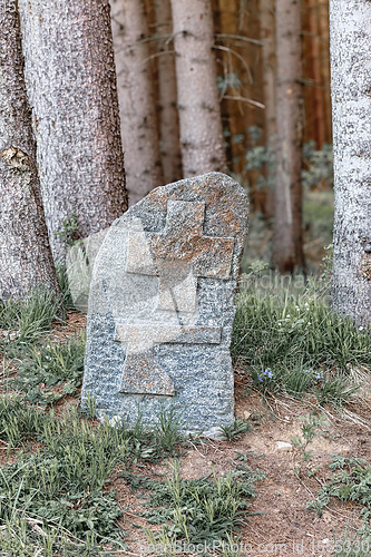 Image of Boundary marker on rock at forest