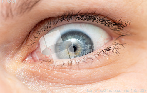 Image of Middle age woman eye macro