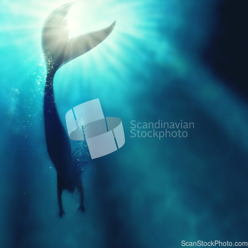 Image of A silhouette shot of a mermaid swimming in solitude in the deep blue sea - ALL design on this image is created from scratch by Yuri Arcurs team of professionals for this particular photo shoot