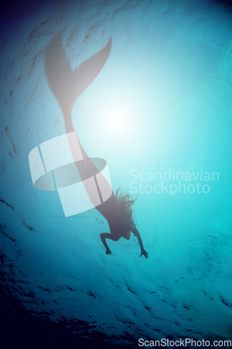 Image of A silhouette shot of a mermaid swimming in solitude in the deep blue sea - ALL design on this image is created from scratch by Yuri Arcurs team of professionals for this particular photo shoot