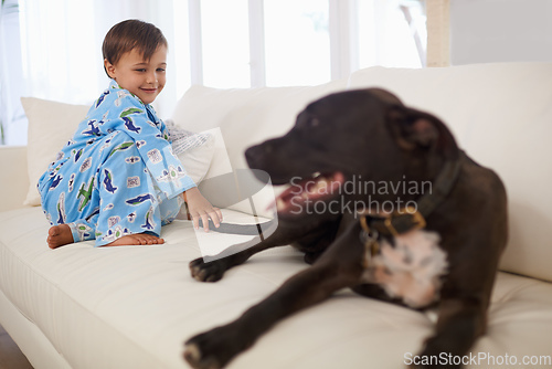 Image of Sitting with his best friend. A cute liittle boy sitting on a couch with his dog.