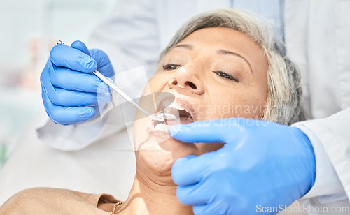 Image of Woman, mirror and hands of dentist cleaning, check and dental wellness in clinic. Oral, orthodontics and mature patient with doctor, tools and healthcare of teeth in medical hygiene for tooth surgery