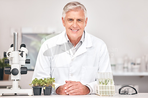 Image of Science, botany and portrait of old man in laboratory for sustainability research, plant or biochemistry. Pharmacy, medical and healthcare with scientist and for product, ecology or agriculture study