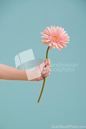 Image of Something to brighten up your day. A little girls hand presenting a flower while isolated.