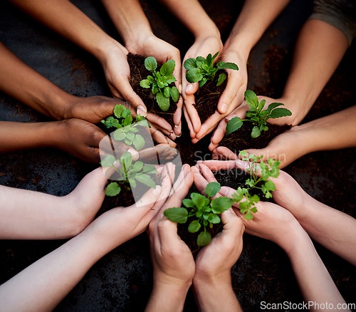 Image of Dont grow apart, grow together. Cropped shot of a group of people holding plants growing out of soil.