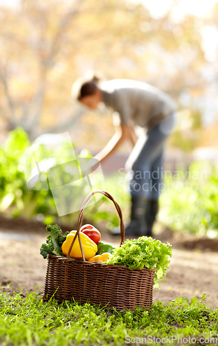 Image of Autumn beauty. Shot of an attractive young woman in the park on an autumn day.