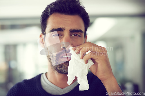 Image of Its allergy season. Portrait of a designer suffering with allergies in an office.