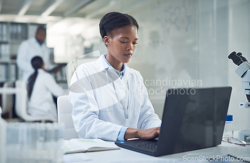 Image of The harder she works, the closer the cure. Shot of a young scientist using a laptop while conducting research in a laboratory.