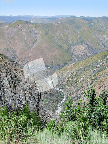 Image of Yosemite National Park