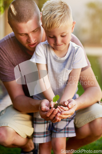 Image of Its valuable to teach kids about nature. Cropped shot of a father and his little son holding a plant growing out of soil.