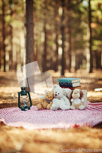 Image of Its time for a picnic in the park. Shot of teddybears sitting on a picnic blanket in the woods.