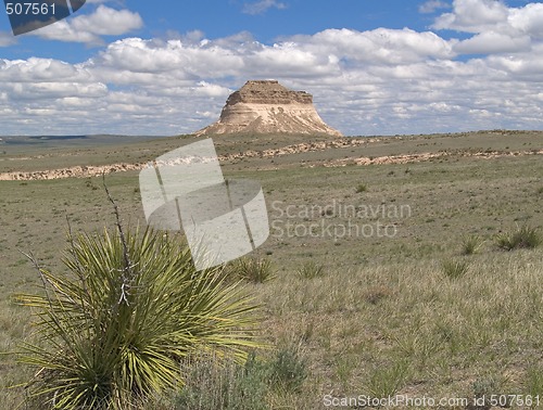 Image of Yucca and Butte