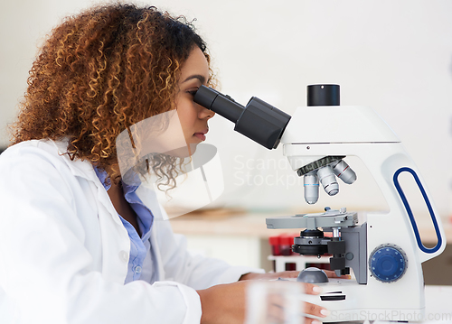 Image of Taking a closer look. Cropped shot of a young female scientist looking into a microscope.