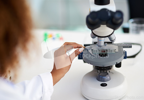 Image of Time to inspect this sample. Cropped shot of a young female scientist analysing a sample in the lab.