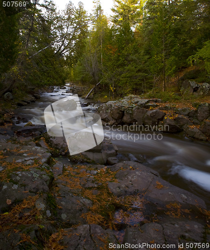 Image of Winding Forest Creek