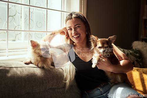 Image of My chihuahuas put the chi in my life. Shot of a young woman relaxing with her dogs on the sofa at home.