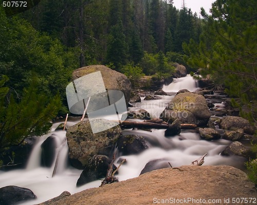 Image of White River in a Green Forest