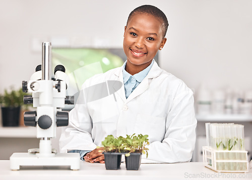 Image of Science, plant and portrait of black woman in laboratory for sustainability research, botany or biochemistry. Pharmacy, medical and healthcare with scientist and for product, ecology or agriculture