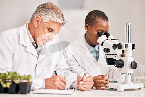 Image of Science, microscope and sample with a medical team in the laboratory for biochemistry or sustainability. Research, agriculture or growth with a man and woman scientist in a lab for innovation