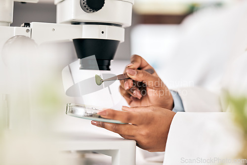 Image of Scientist, hands and test leaf with microscope for research in biotechnology, plants and petri dish for horticulture lab exam and study. Agriculture, science and person in forensic analysis of sample