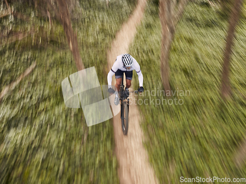 Image of Speed, nature and cyclist on bicycle from above with helmet, exercise adventure trail and forrest fitness. Cycling, woods and man with mountain bike in trees for workout, motivation or fast energy.