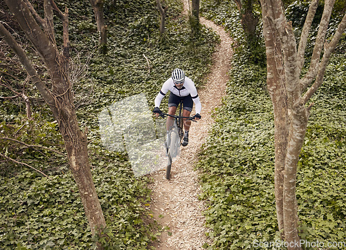 Image of Forest path, mountain bike and sports person travel, ride and adventure on nature trail, cycling challenge or bicycle journey. Top view, environment and athlete training, fitness and freedom in woods