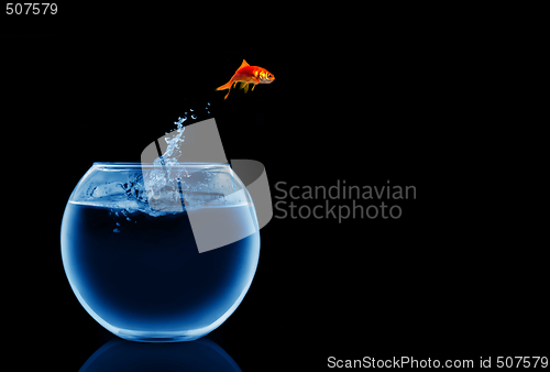 Image of goldfish jumping out of the water