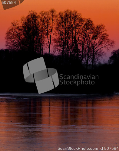 Image of Trees, Frozen Lake, and Sunset
