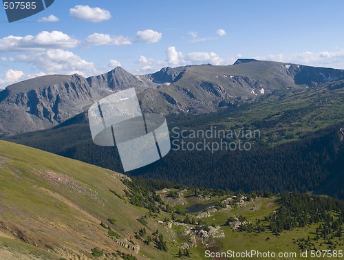 Image of Trail Ridge Summer