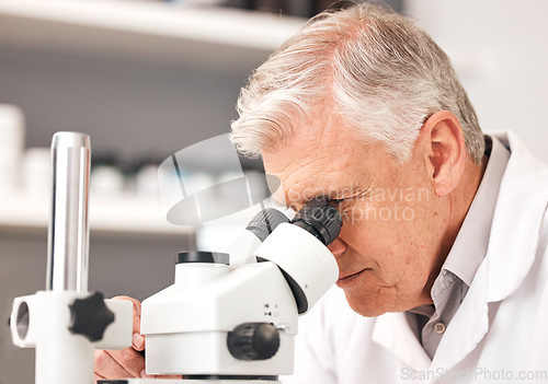 Image of Scientist, man and microscope in laboratory research, DNA analysis and pharmaceutical development or medical study. Professional science or senior person in biotechnology and lens check for particles