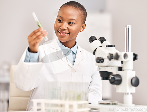 Image of Scientist, woman and plants, test tube and pharmaceutical research, sustainable or herbs medicine in laboratory. Medical student or happy african person in science analysis with eco friendly solution