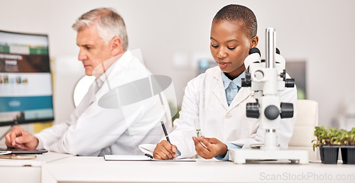 Image of Laboratory, plants and scientist writing with notes and agriculture study for food security. Eco research team and sustainability with leaf growth and ecology test with fertilizer and soil data