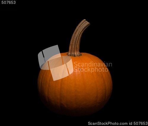 Image of Pumpkin