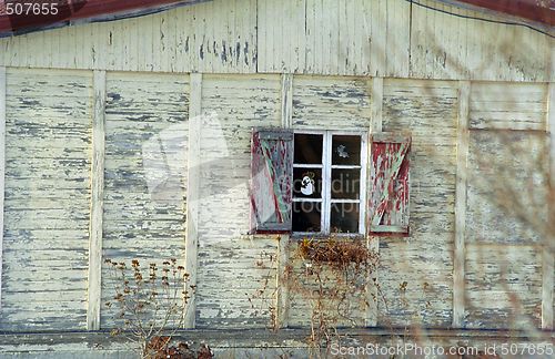 Image of house