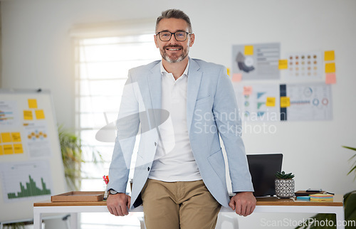 Image of Portrait. business and man with a smile, ceo and management with career, investor and person in a workplace. Employee, accountant and trader with entrepreneurship, corporate executive and consultant