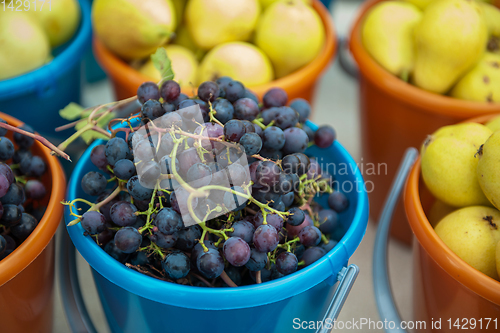 Image of Bucket with grapes