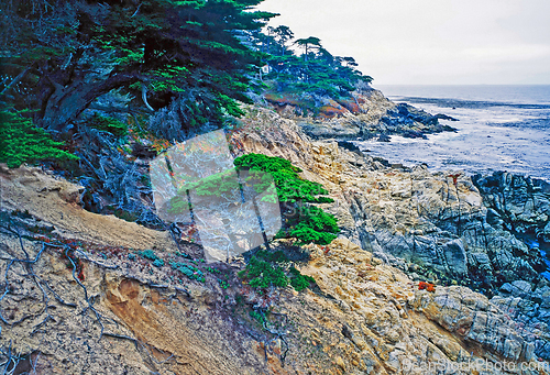 Image of Point Lobos