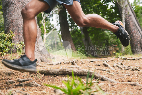 Image of Running, fitness and legs of man in forest for marathon training, exercise and cardio workout. Sports, nature and feet of athlete in woods for wellness, healthy body and muscle for race or challenge