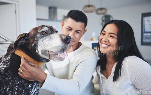 Image of Happy, playing and a couple with a dog in a house for love, care and bonding with a pet. Smile, apartment and a young playful man and woman with an animal in the living room of a home together