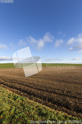 Image of field after harvest