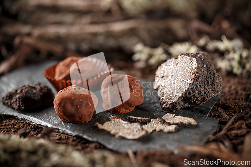 Image of Chocolate truffles