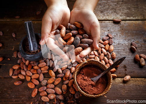 Image of Cocoa beans