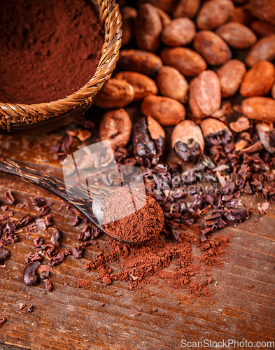 Image of Cocoa (cacao) beans