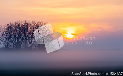 Image of Sunrise landscape of Hortobagy landscape