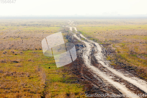 Image of misty road to nowhere in Hungarian puszta